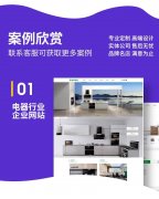 企业级网站定制开发（全栈解决方案）​