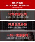 跨境电商独立站开发｜Shopyy/Shopify定制专家​