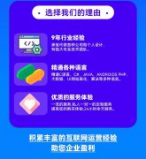 安全盾甲｜金融级APP加密开发+渗透测试​