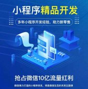  高端微信小程序开发+源码交付​